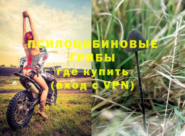соль ск Нея