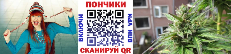 Купить закладки  Кола  Канабис OG Kush 
